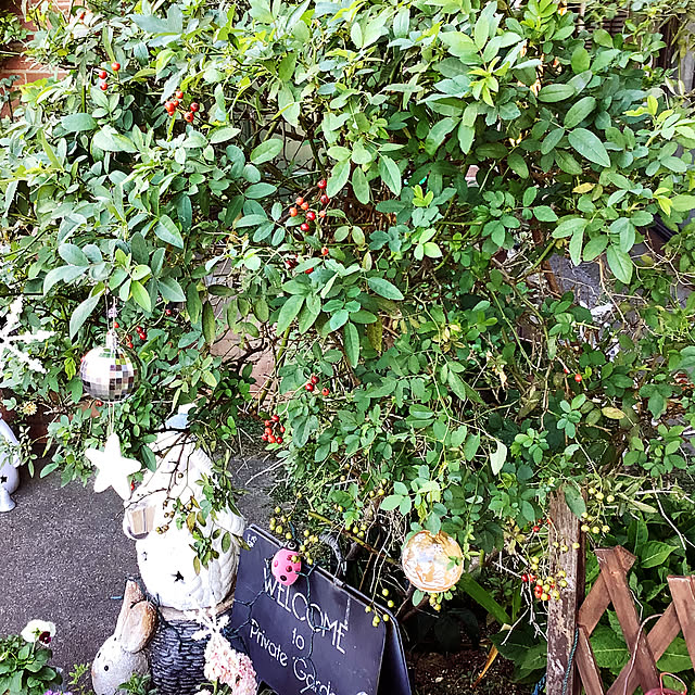 taeさんの部屋