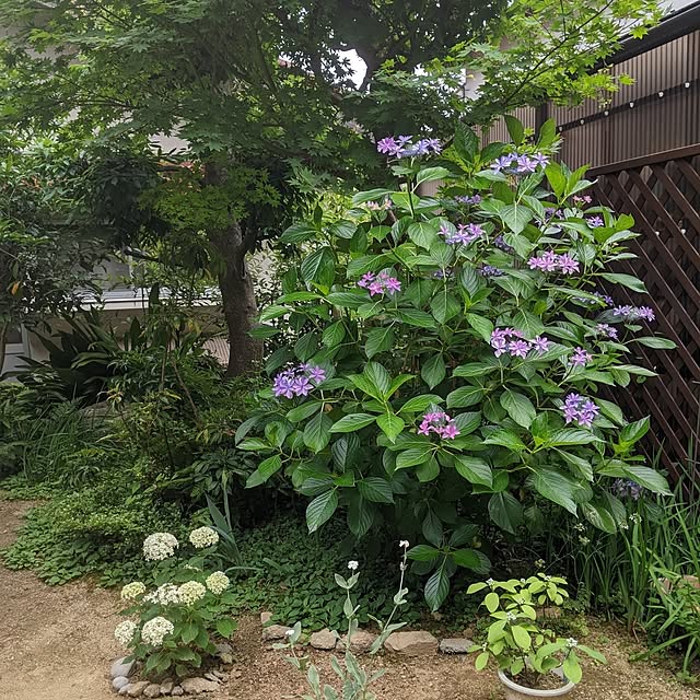 hiroさんの部屋