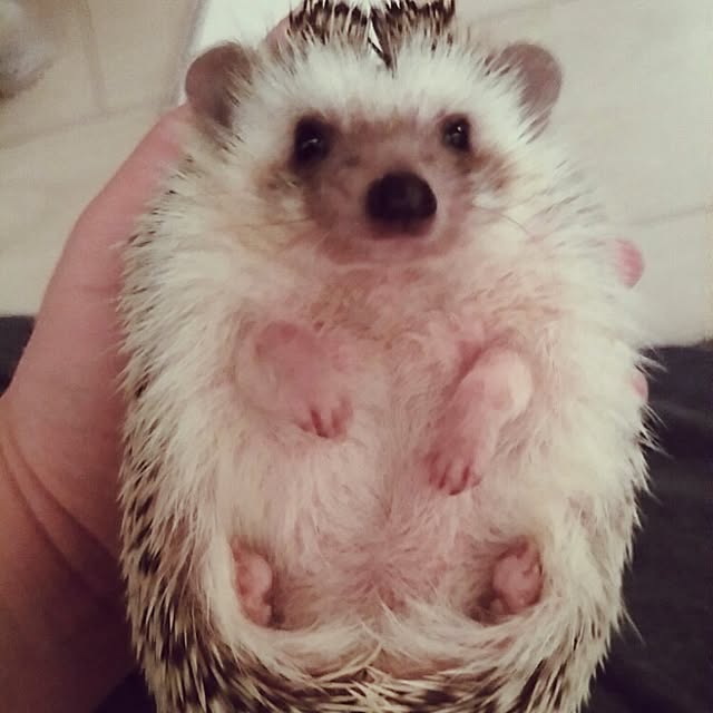 kuruさんの実例写真