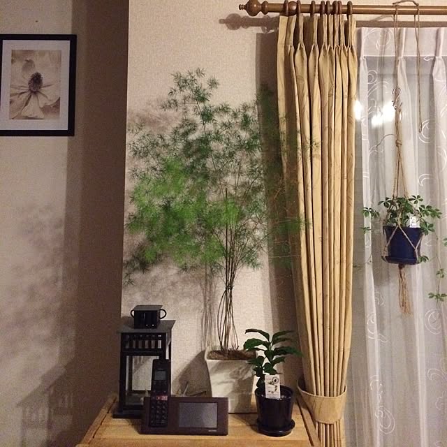 SAFARIさんの実例写真