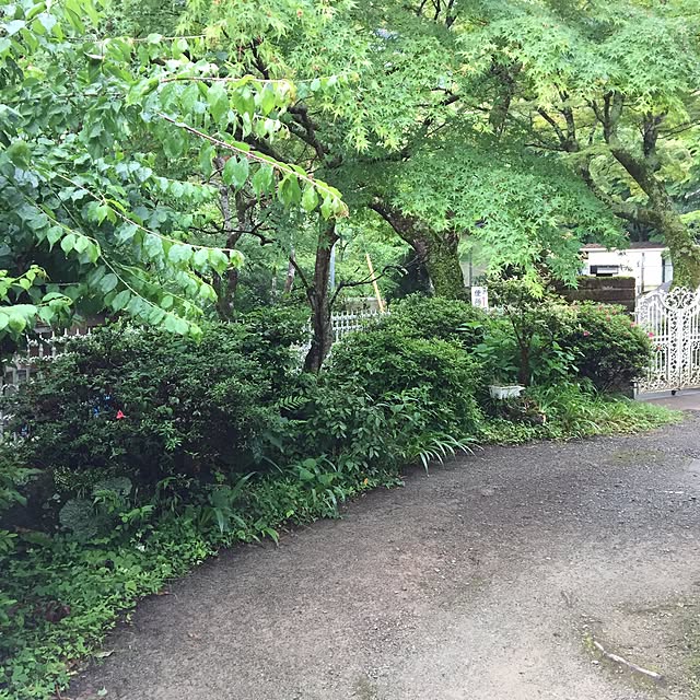 実例写真