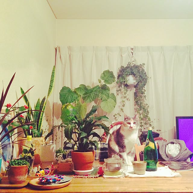 ATmさんの実例写真