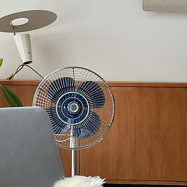 Shinjiさんの実例写真