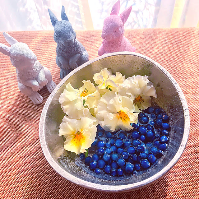 portulacaさんの実例写真