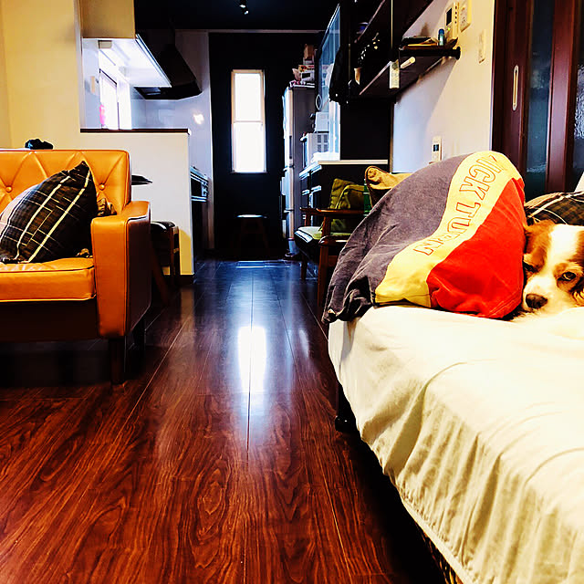IZUMIさんの実例写真