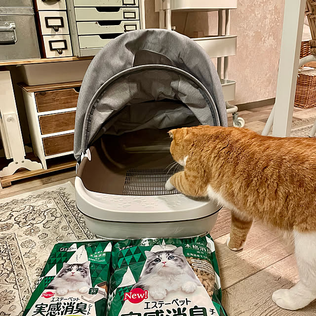 airararaさんの実例写真
