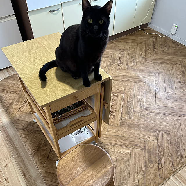 mimiさんの実例写真
