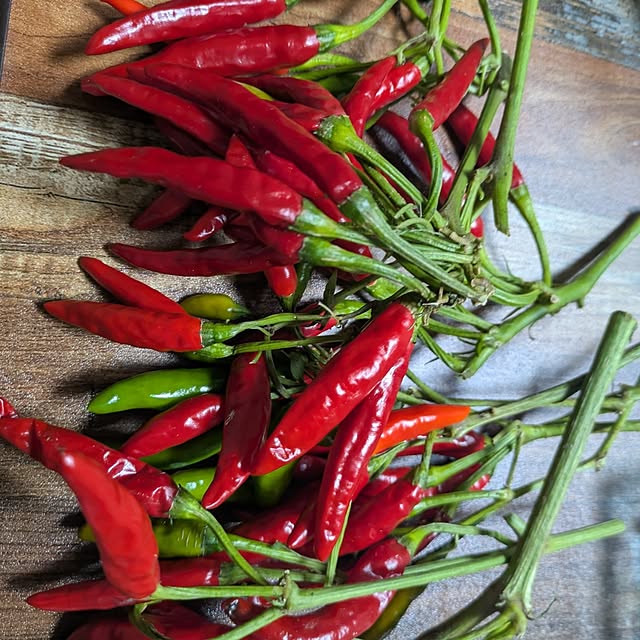 asaさんの実例写真