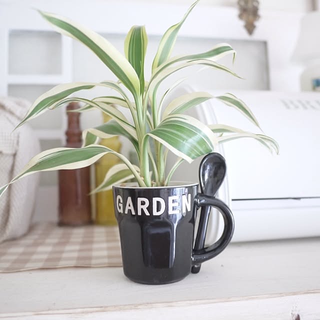 keitanさんの実例写真