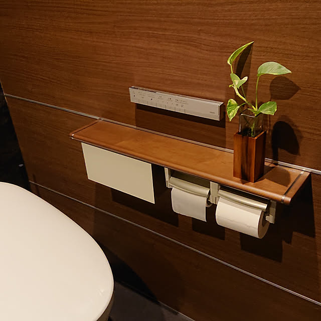 バス/トイレ/トイレのインテリア/観葉植物/シックにまとめたい/投稿イベントテーマ...などのインテリア実例 - 2020-11-19 22:10:21