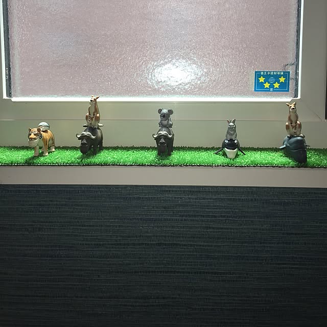 maicoさんの実例写真