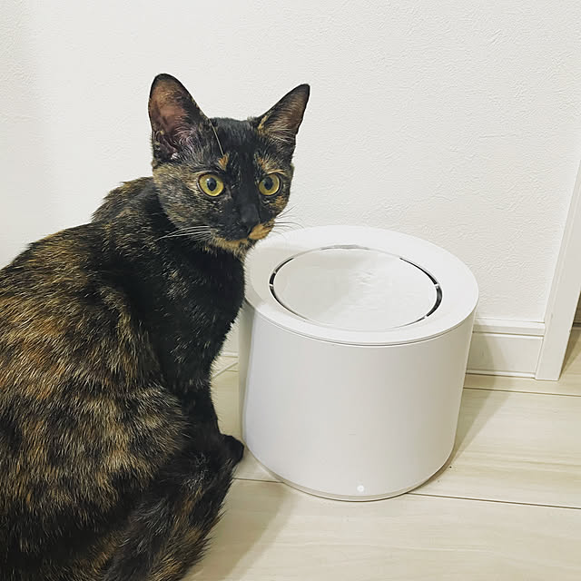 kumiNyanさんの実例写真