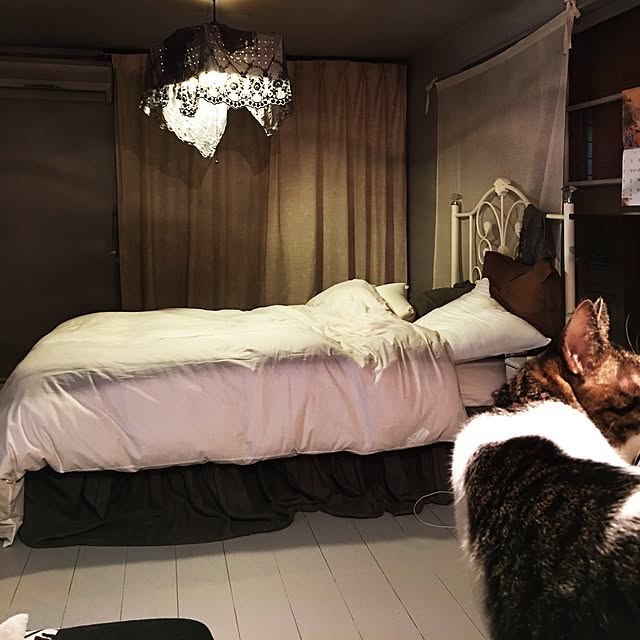 Shihoさんの実例写真