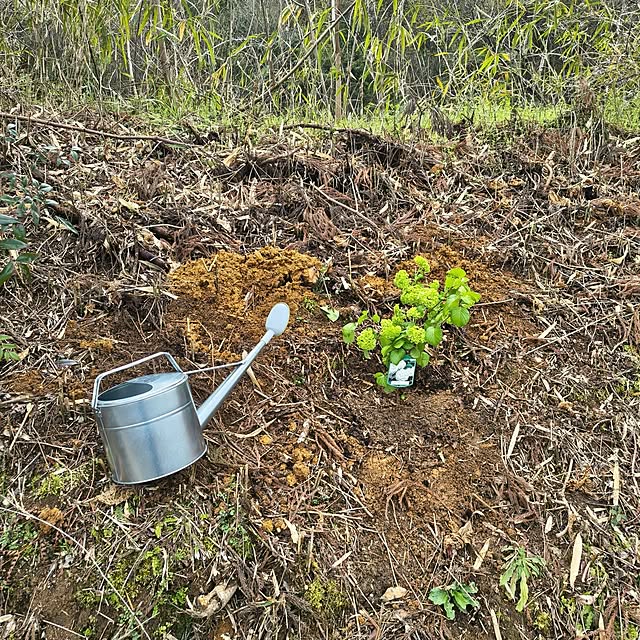 Rubiconさんの部屋