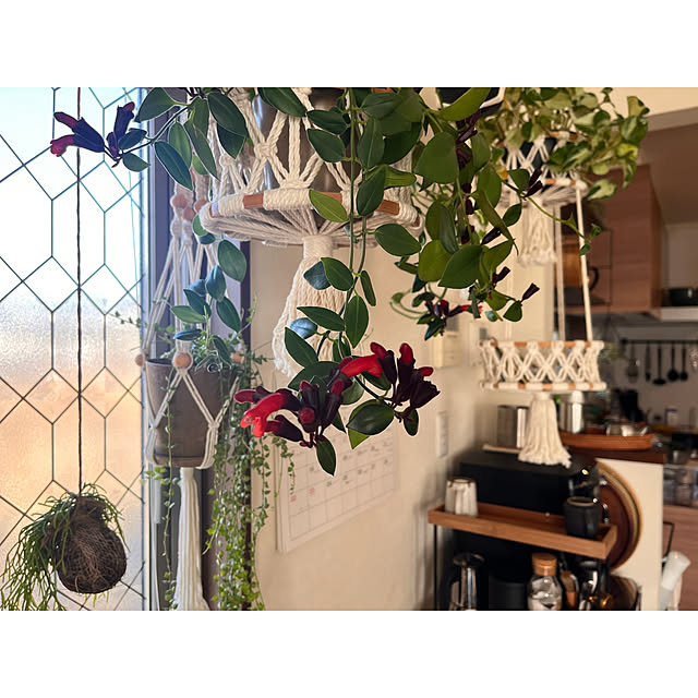 mi..Eさんの部屋