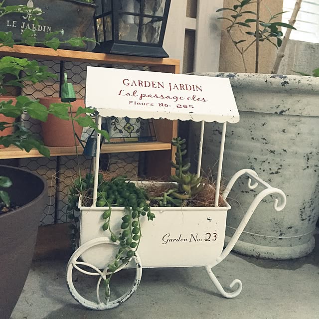Rieさんの実例写真