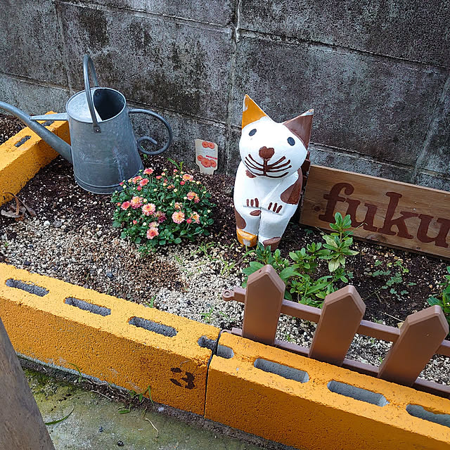 fukuさんの実例写真