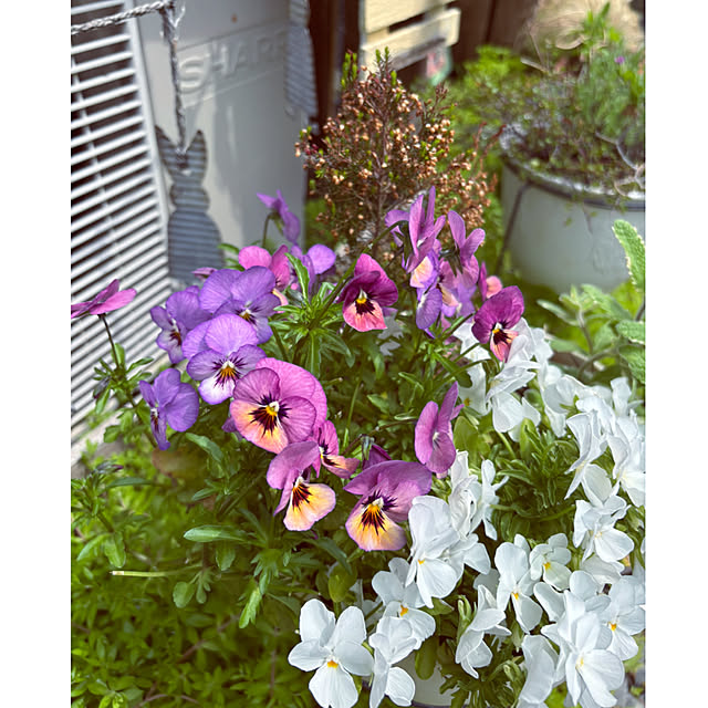 CoCo0617さんの部屋