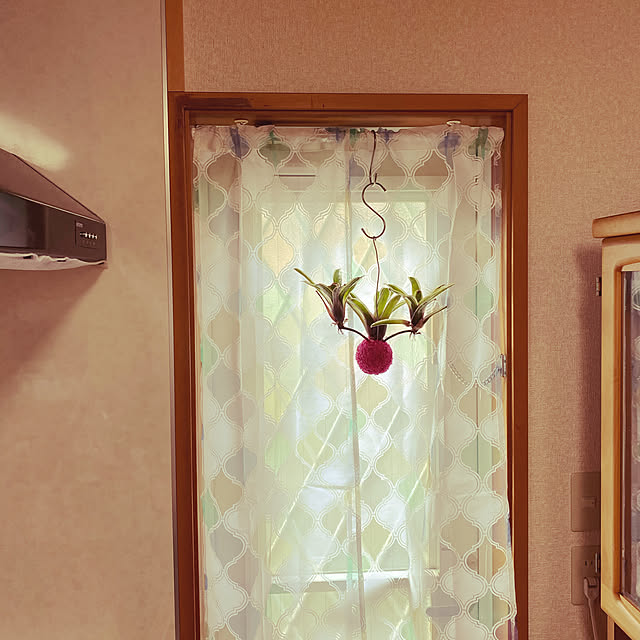 ayuchiさんの実例写真