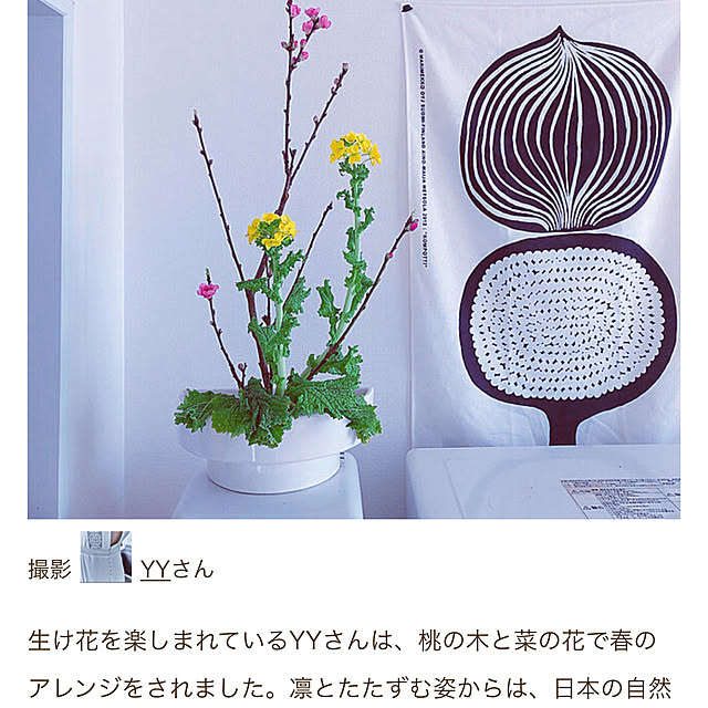 YYさんの実例写真