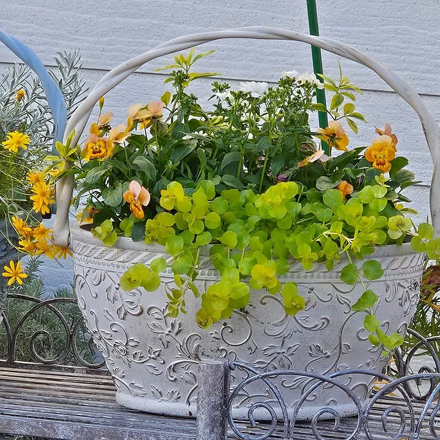 nonbiri_house_さんの部屋