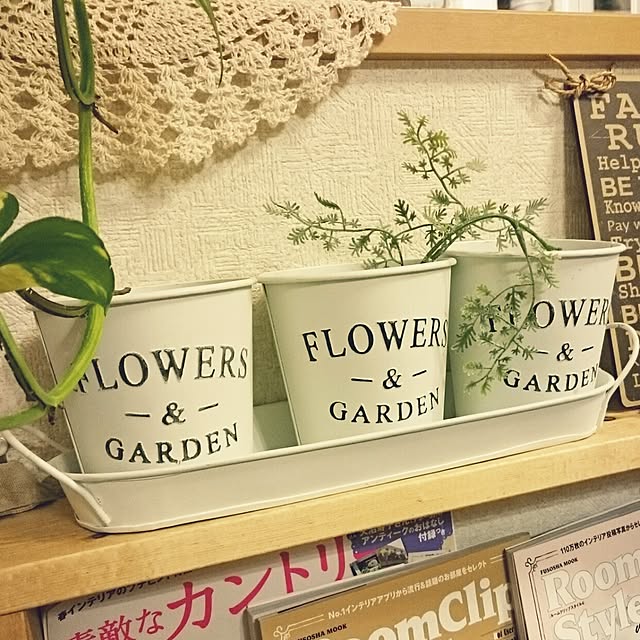 misaさんの実例写真