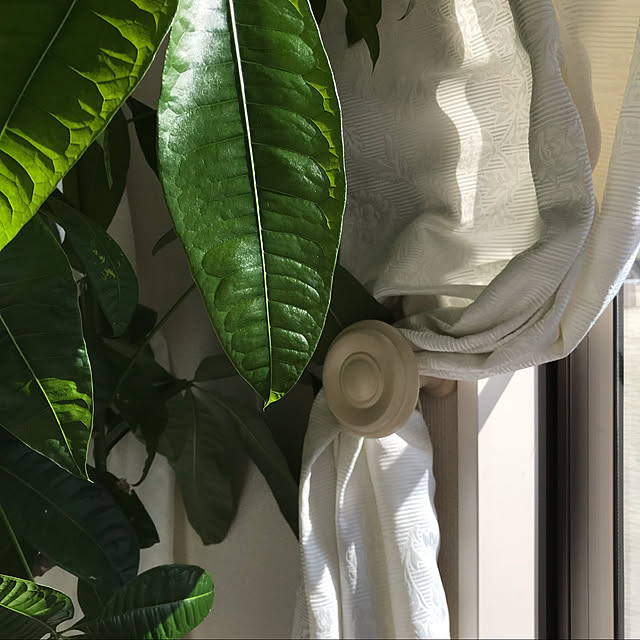 Tomococoroさんの実例写真