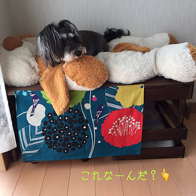 yukap-さんの実例写真