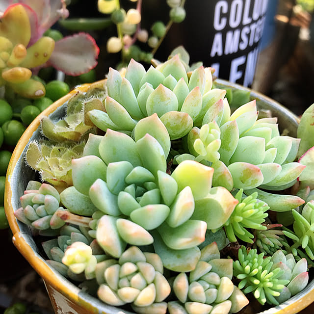 **yuu**さんの実例写真