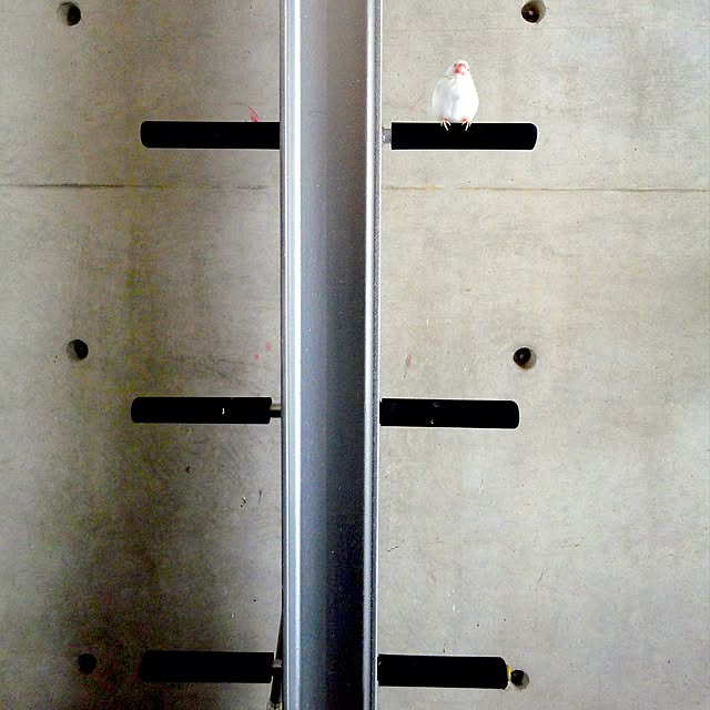 koHakuさんの実例写真