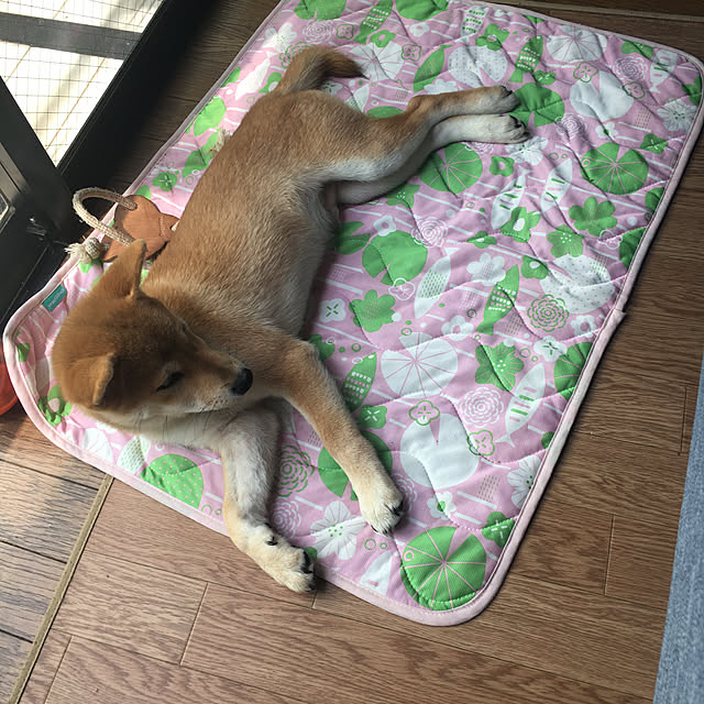 luckyさんの実例写真