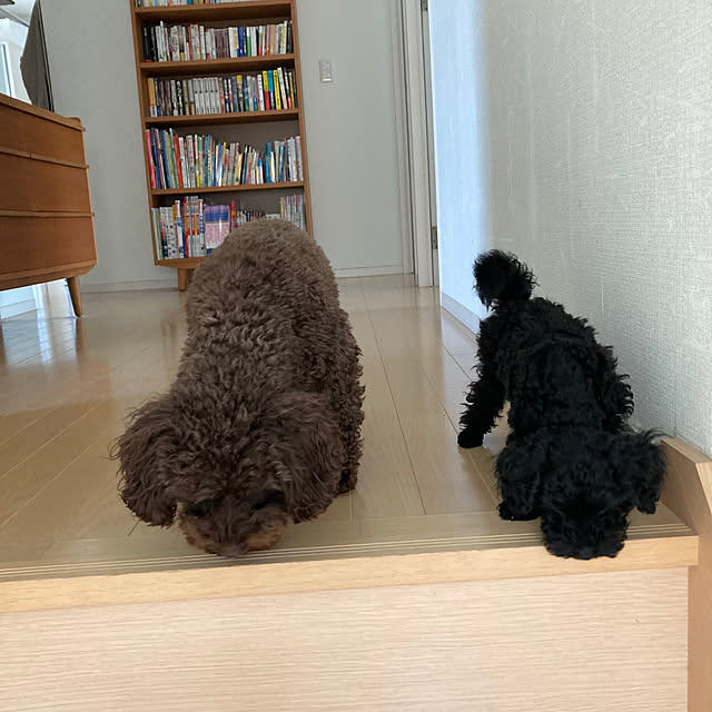 funky_ayankeeさんの実例写真