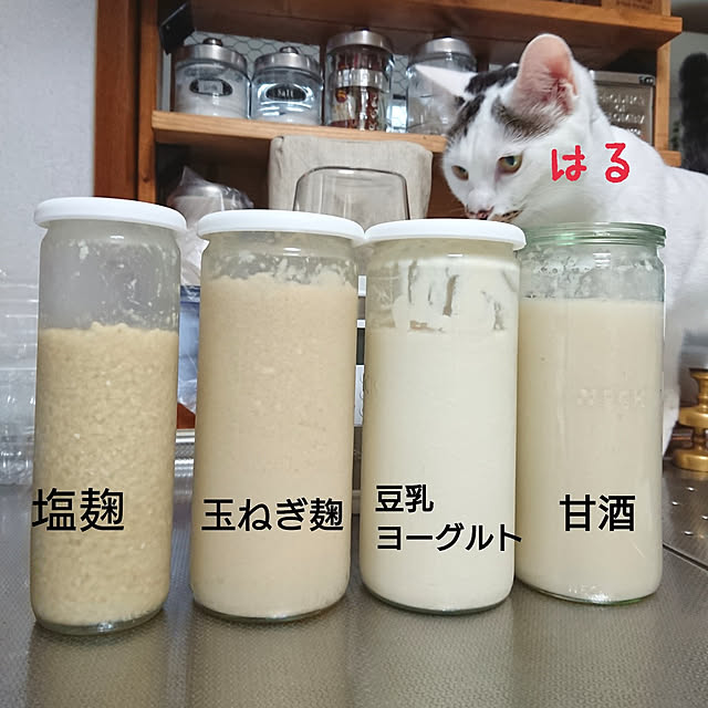 kumiさんの実例写真