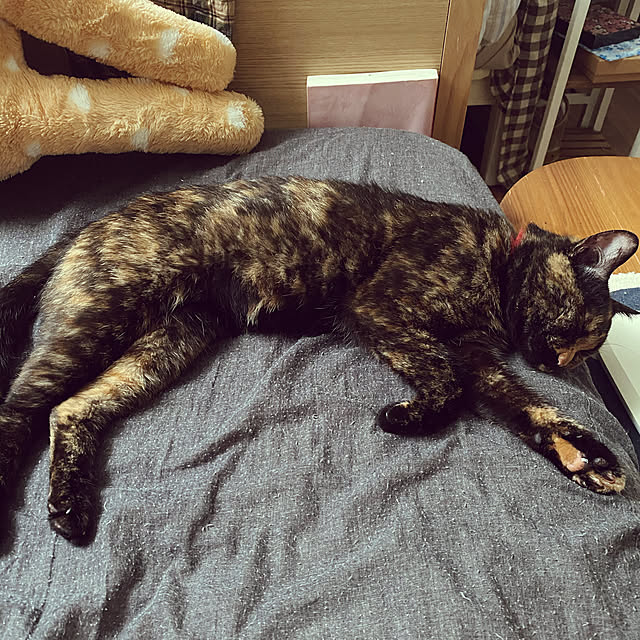 mさんの実例写真
