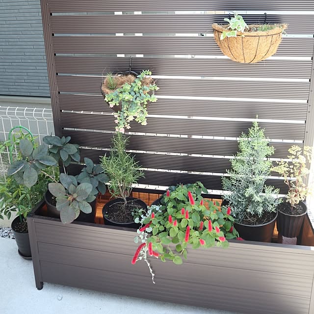 kmerciさんの部屋