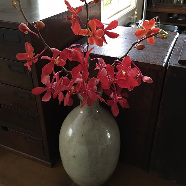kinekoさんの実例写真