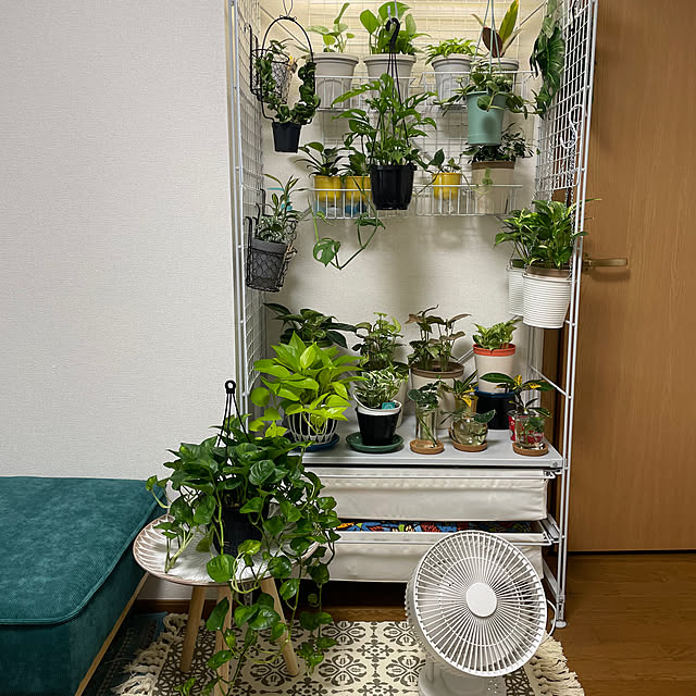 chi.pa.ruさんの実例写真