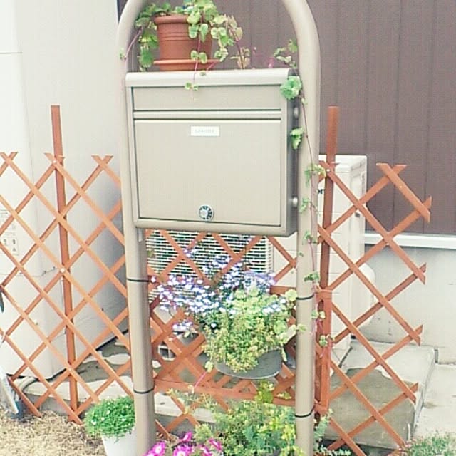 玄関/入り口/セリア/100均/植物のインテリア実例 - 2014-06-08 15:45:43