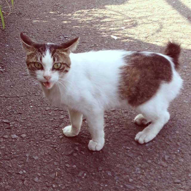 mobiri57さんの実例写真
