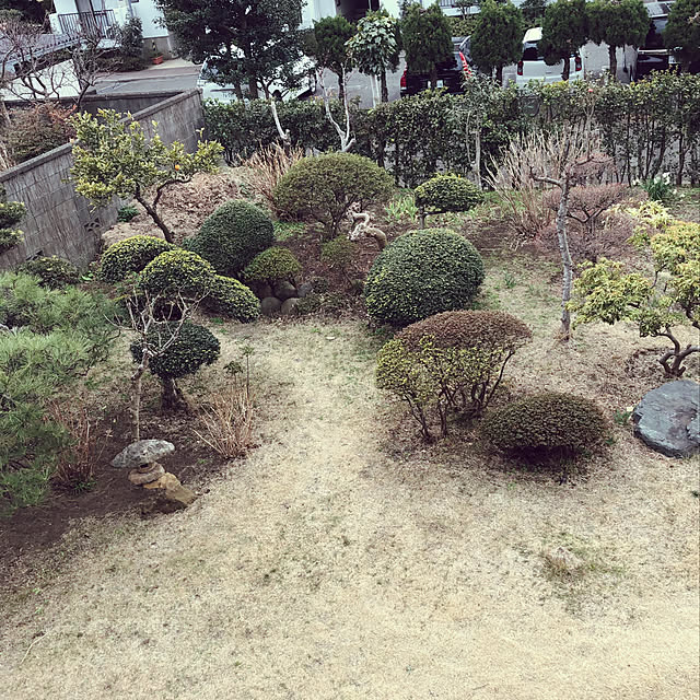 suzyさんの実例写真