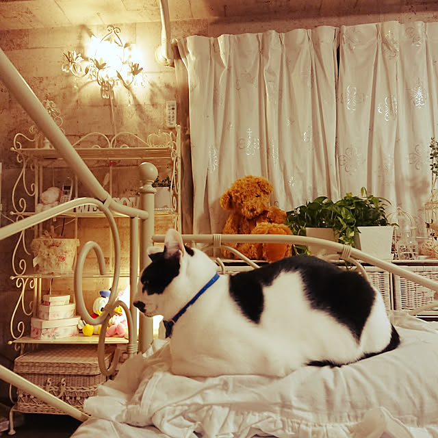 asuminさんの実例写真