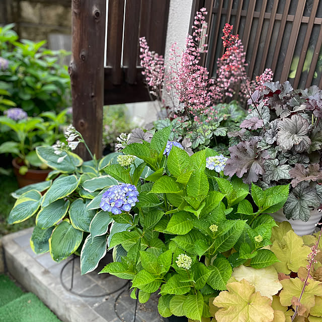 buchiさんの部屋