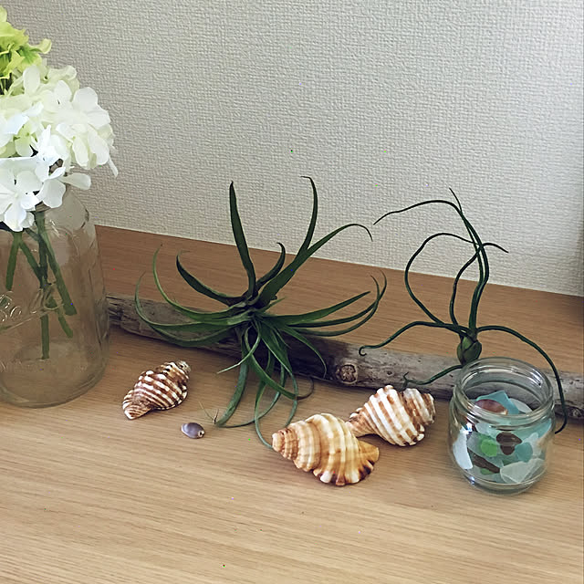 hinamayaさんの実例写真