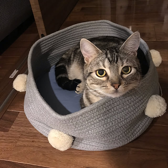 yoshimi_443さんの実例写真