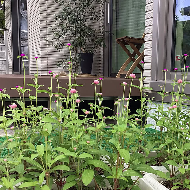 houenさんの実例写真