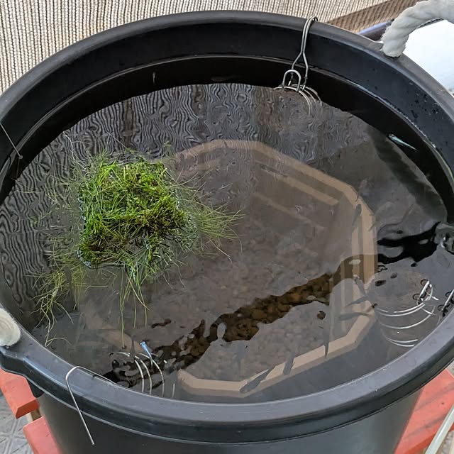 mi-saさんの実例写真