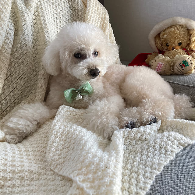 madamkaoriさんの部屋