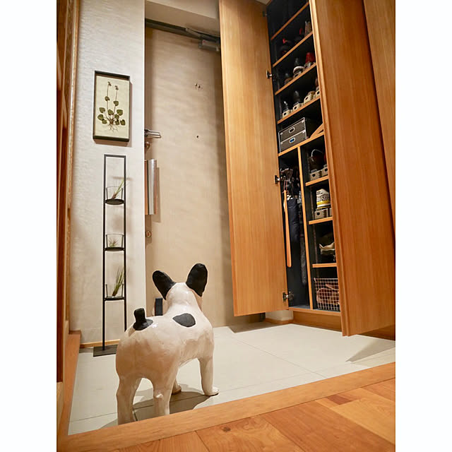 pomqujackさんの実例写真
