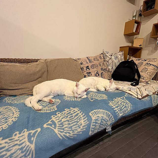 hanaさんの実例写真