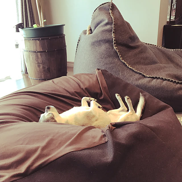 so-kingさんの実例写真